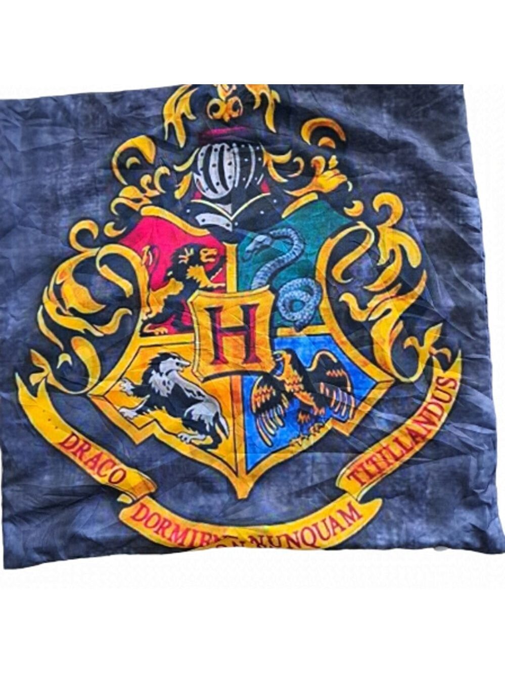 HARRY POTTER DRACO screenprint nylon cushion cover 17x17" academia Zip open